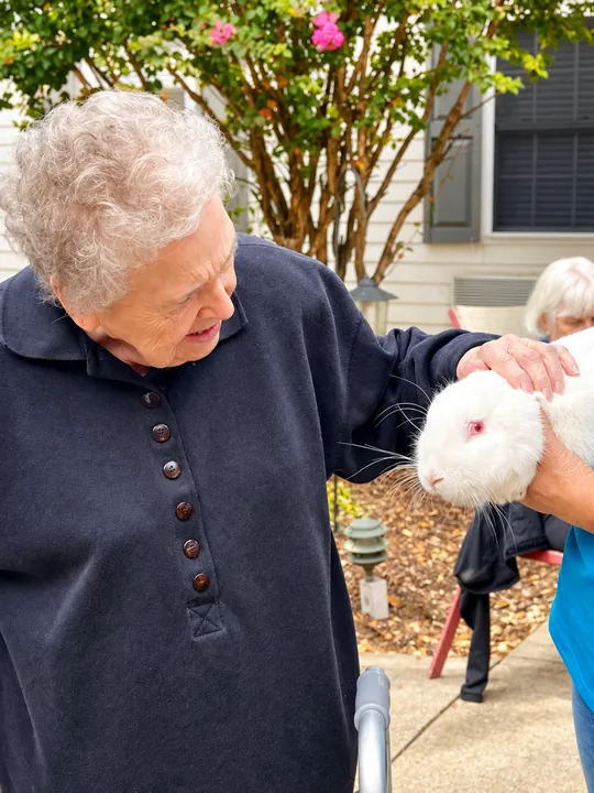 A resident petting a white rabbit outdoors in the courtyard